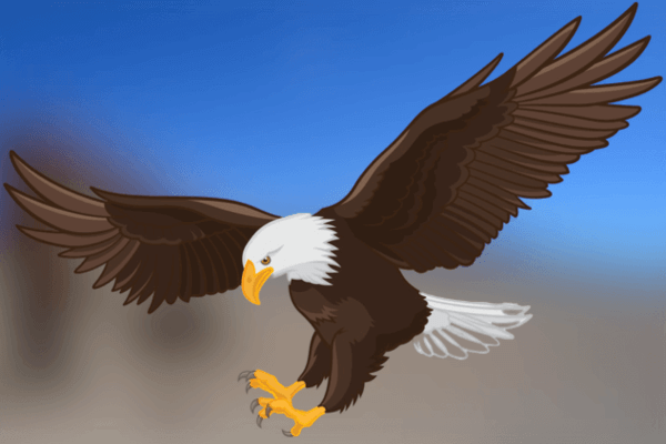 falcon-plan-image